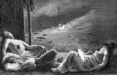 Vampirfledermäuse, die sich von schlafenden Menschen ernähren, ca. 1890